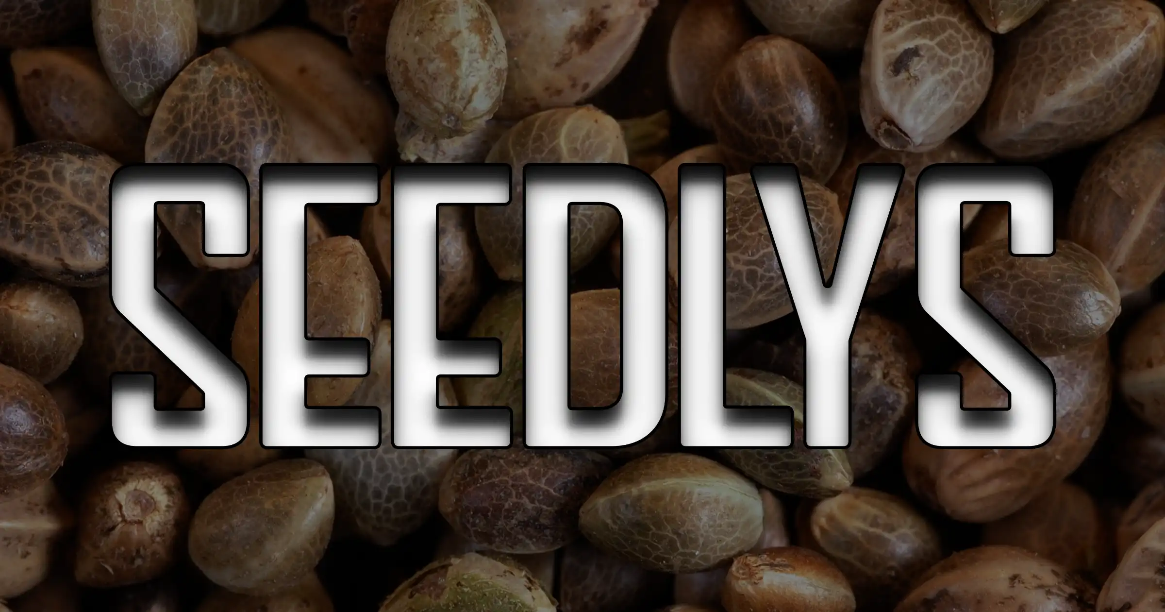 www.seedlys.com