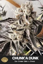 Chunk a Dunk Feminized Cannabis Seeds - Seedlys Seed Bank USAf