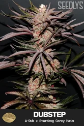 Dubstep Feminized Cannabis Seeds - Seedlys Seed Bank USAf