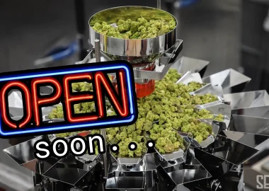 Seedlys Soft Opening Soon - Seedlys USA