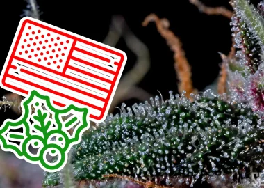 Happy Holidays From Seedlys