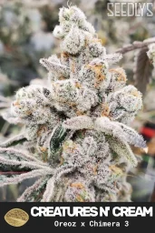 Creatures N' Cream Feminized Cannabis Seeds - Seedlys USA