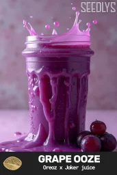 Grape Ooze Feminized Cannabis Seeds - Seedlys Feminized Seed Bank