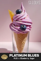 Platinum Blues Feminized Cannabis Seeds