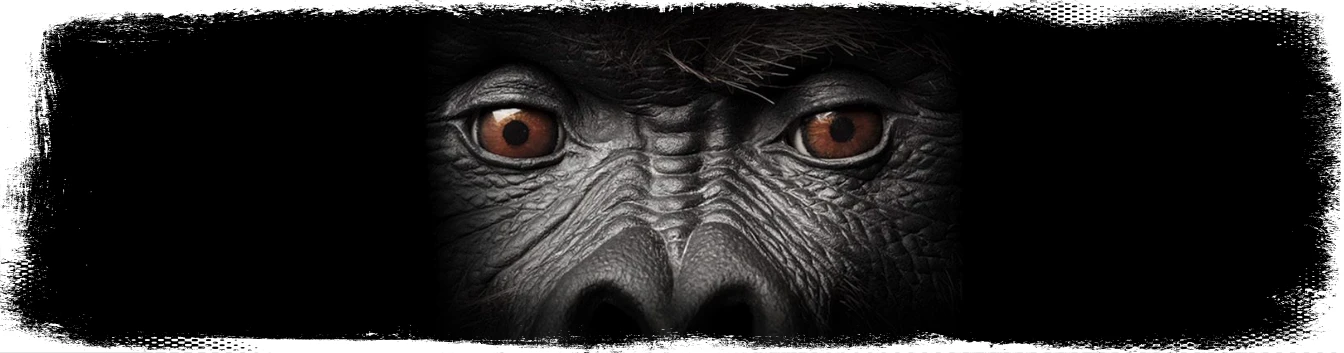 Crush Glue Feminized Seeds - Gorilla Background