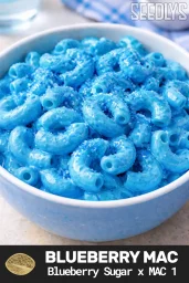 Blueberry Mac Feminized Seeds