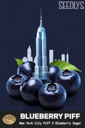 Blueberry Piff Feminized Seeds - New York City Piff x Blueberry Sugar