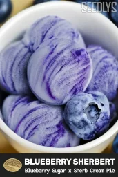 Blueberry Sherbert Feminized Seeds