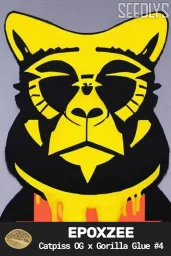 Epoxzee Feminized Seeds