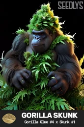 Gorilla Skunk Feminized Seeds - Seedlys Seed Bank USA