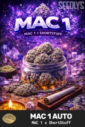 MAC 1 Autoflower Seeds - Seedlys
