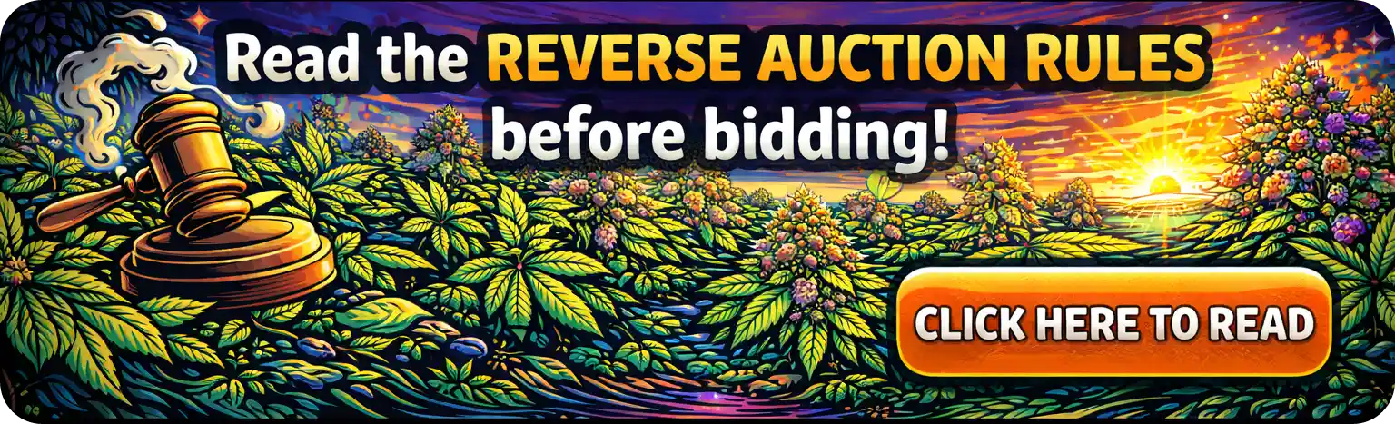 Reverse Auctions - Buy Cannabis Seeds at Auction