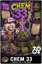 Chem 33 Cannabis Seeds - Gelato 33 x 3D Chem - Seedlys USA