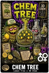 Chem Tree Cannabis Seeds - Lemon Tree x 3D Chem - Seedlys USA