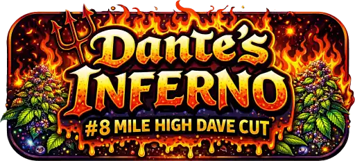 Dantes Inferno #8 Mile High Dave Cut Cannabis Strain - Seedlys USA