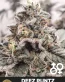Deez Runtz Cannabis Seeds - Shangrila Runtz x 3D Chem - Seedlys USA