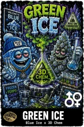 Green Ice Cannabis Seeds - Blue Ice x 3D Chem - Seedlys USA