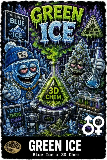 Green Ice Cannabis Seeds - Blue Ice x 3D Chem - Seedlys USA