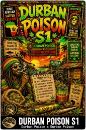 Durban Poison S1 Feminized Seeds - Seedlys USA